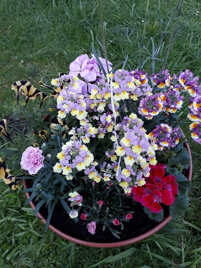 Gartenbau Gustav Halke, Blumenladen in Niesky