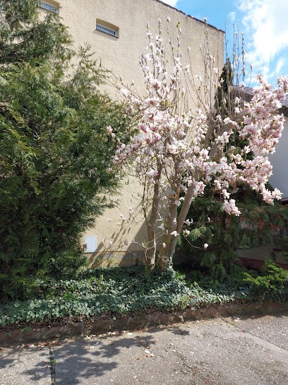 Werner Hilpert, Blumenladen in Stößen