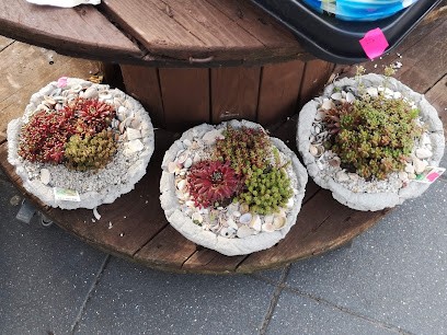 Blume Ideal, Blumenladen in Hinte