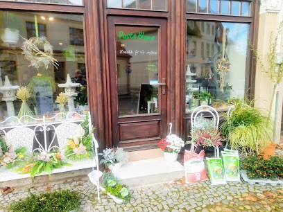 Pusteblume, Blumenladen in Querfurt