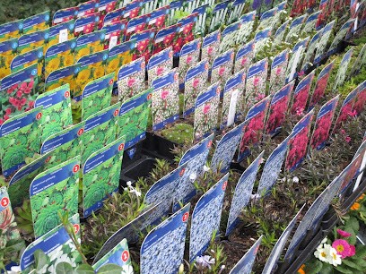 Blumen Gärtnerei Brugger, Blumenladen in Rheinfelden