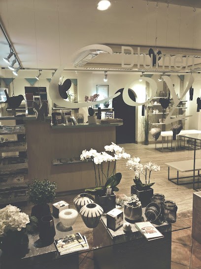 Blumen Coy Dieburg, Blumenladen in Dieburg