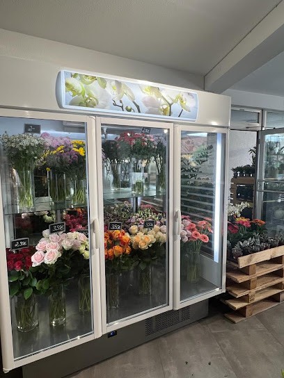 Flower Power / Blumen Deko vieles mehr, Blumenladen in Windischeschenbach