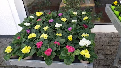 Blütenzauber Körber, Blumenladen in Pegnitz