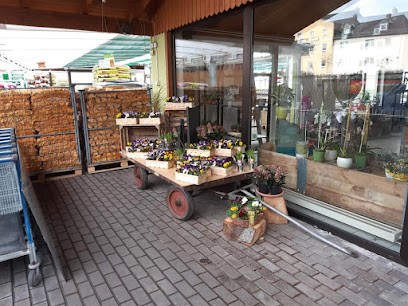 Patrick Stenzel, Blumenladen in Pößneck