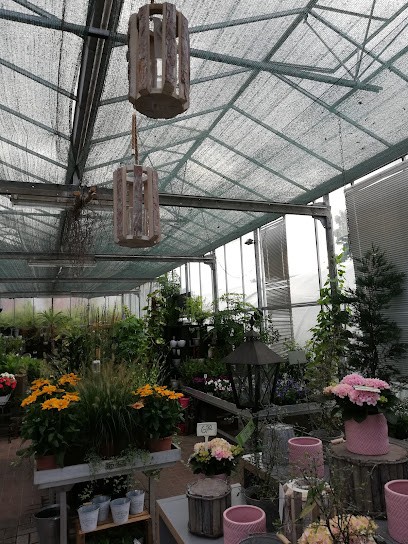 Gärtnerei T. Witt, Blumenladen in Lübeck