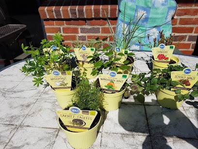 Tobias Stegelmann, Stegelmann Blumen Erleben, Blumenladen in Lindau