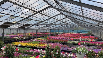 Blumen Bongartz Titz, Blumenladen in Titz