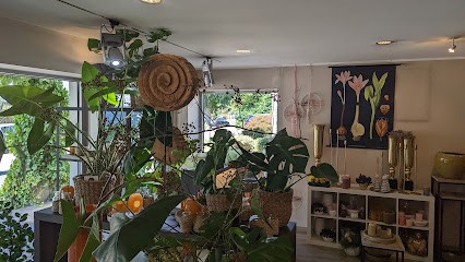 Blumen Stockrahm - Guido Stockrahm, Blumenladen in Moers