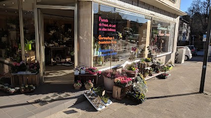 Blumenhaus Flohr - Flower Dreams, Blumenladen in Wetter