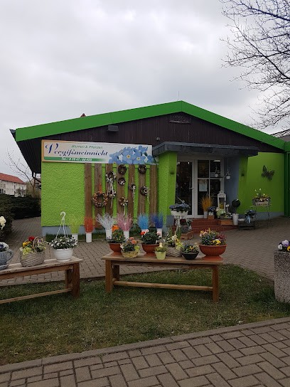 Floristikfachgeschäft Vergißmeinnicht, Blumenladen in Thale