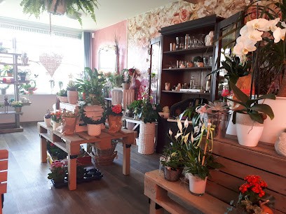 Blumenkasten, Blumenladen in Nentershausen