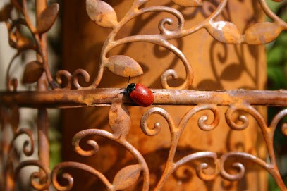 Blumik Ilmenau, Blumenladen in Ilmenau