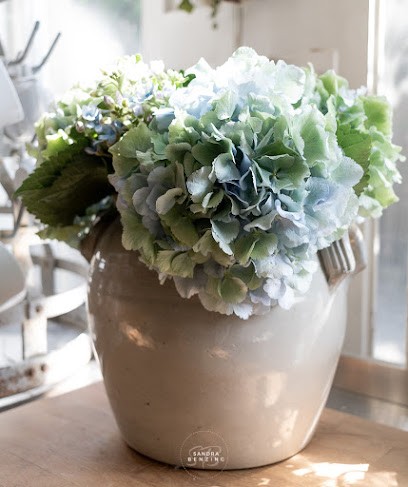 Blumenhof Benzing & Benzing Online Shop, Blumenladen in Waiblingen