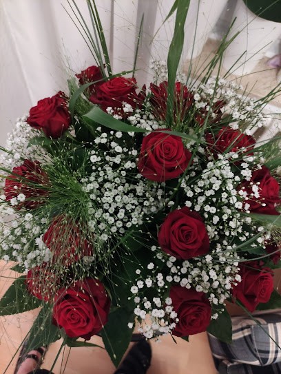 Blumen Wolframm Gmbh, Blumenladen in Düsseldorf