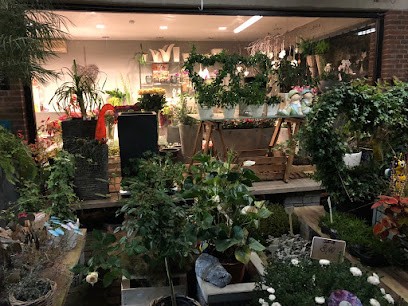 Der Blumenladen, Blumenladen in Wuppertal