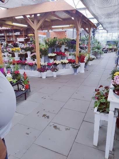 Gartenbaucentrum Cremlingen, Blumenladen in Cremlingen