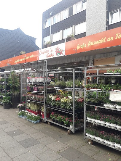 Ceylans Deko, Blumenladen in Duisburg