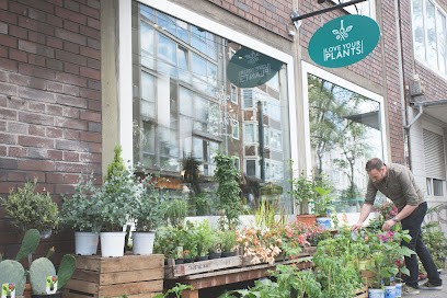 Love Your Plants, Blumenladen in Düsseldorf
