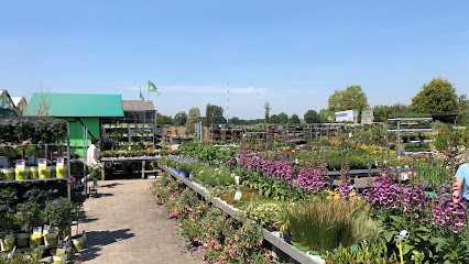Holländisches Blumen Center, Blumenladen in Geldern