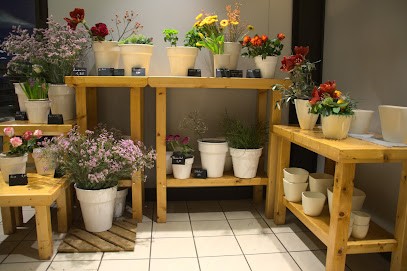 Die Blumeninsel, Blumenladen in Wardenburg