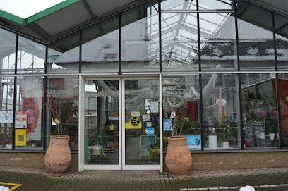 Blumen Bessey, Blumenladen in Merzig