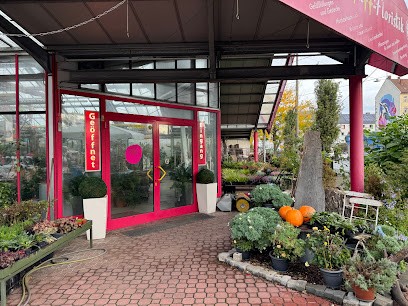 Blumen - PFAFF - Floristik, Blumenladen in Fürth