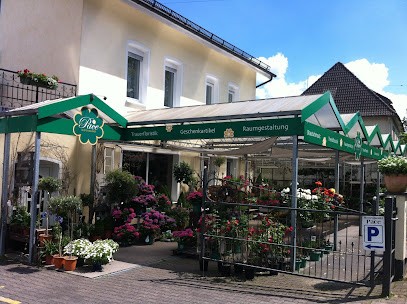Blütenzauber Pace, Blumenladen in Lennestadt