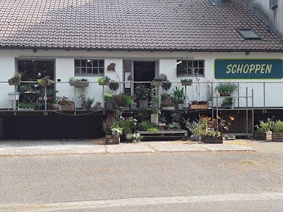 Der Schoppen, Blumenladen in Stemwede