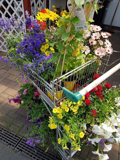 Gärtnerei Schäfer, Blumenladen in Cölbe