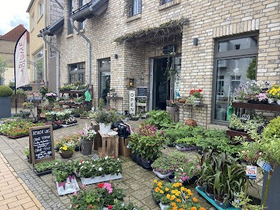 KleinstadtBLUME, Blumenladen in Warin