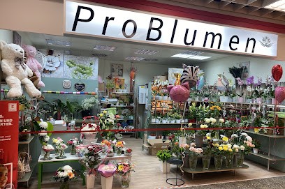 ProBlumen, Blumenladen in Albstadt