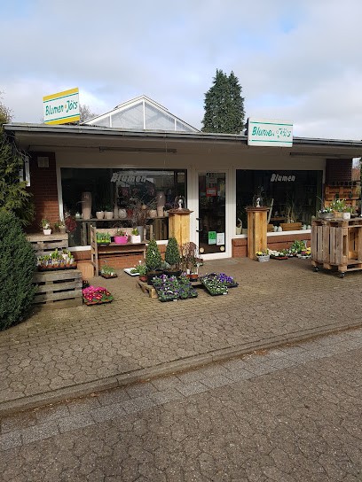 Jörs Floristik & Gärtnerei, Blumenladen in Scheeßel