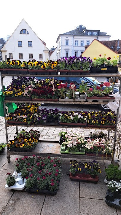 Rolf Göthe, Blumenladen in Schmölln