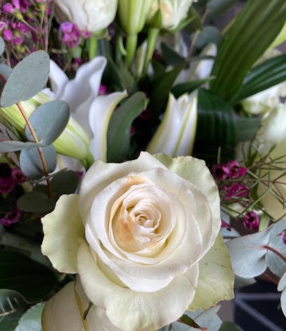 Blumengärtnerei Barth, Blumenladen in Ravensburg