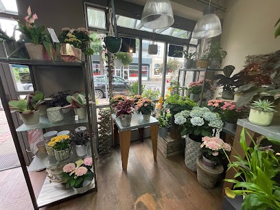 Florales Bernhard Sager, Blumenladen in Bad Segeberg