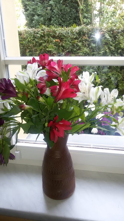 Blume Ideal, Blumenladen in Papenburg