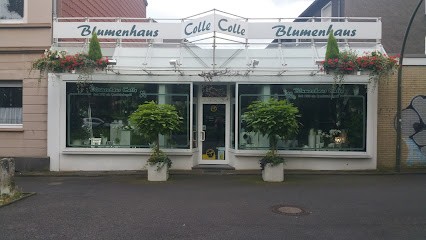 ABC-Blumenhaus Colle GmbH, Blumenladen in Oer-Erkenschwick