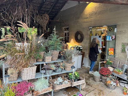 Floristik Renz, Blumenladen in Gomaringen