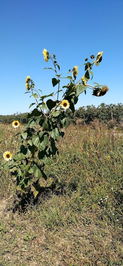 Blumen am Nordfriedhof - Trauerfloristik - Hochzeitsfloristik - Blumen Popp, Blumenladen in Landshut