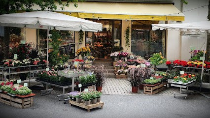 Florales Am Markt, Blumenladen in Darmstadt