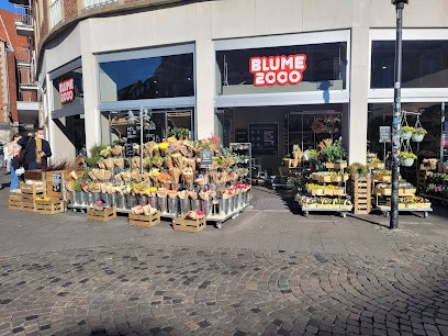 BLUME2000 Münster, Blumenladen in Münster