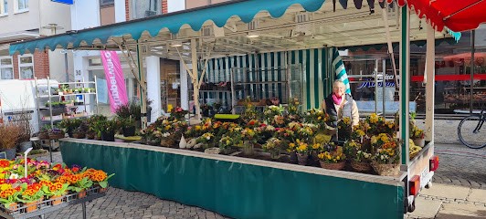 Johann Wurthmann, Blumenladen in Hilgermissen