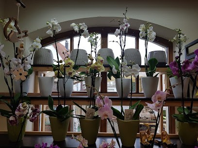 Des Blumalädla In Frensdorf Neben Den Rathaus, Blumenladen in Frensdorf