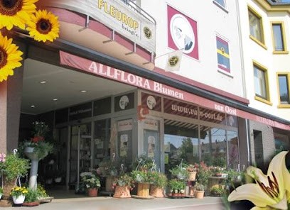 Blumen van Oost, Blumenladen in Mülheim