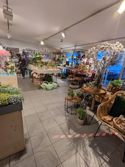 Blumengalerie Beate Matthäus Blumen & Geschenke, Blumenladen in Herzogenaurach