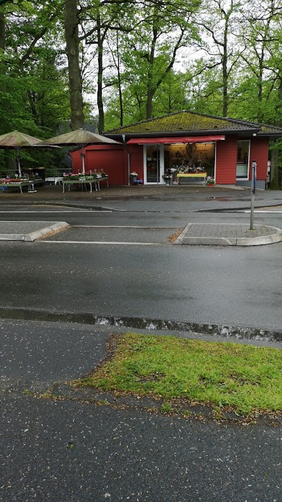 Blumen Ohles, Blumenladen in Siegburg