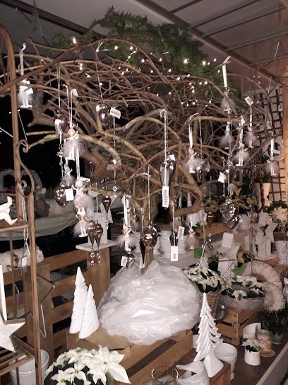 Blümchen Floristik, Blumenladen in Wunstorf