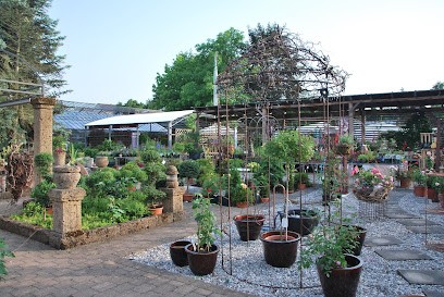 Blumen Egelhof GmbH & Co. KG, Blumenladen in Dinkelsbühl