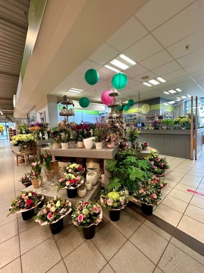 Blumenland Anja Van Setten, Blumenladen in Wachtberg